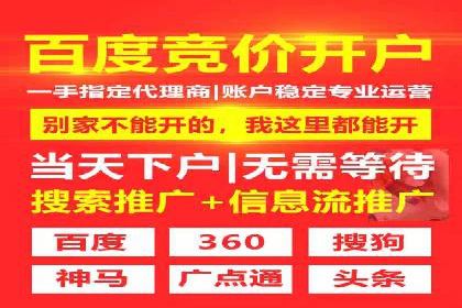 SEM广告投放的精准定位与优化案例